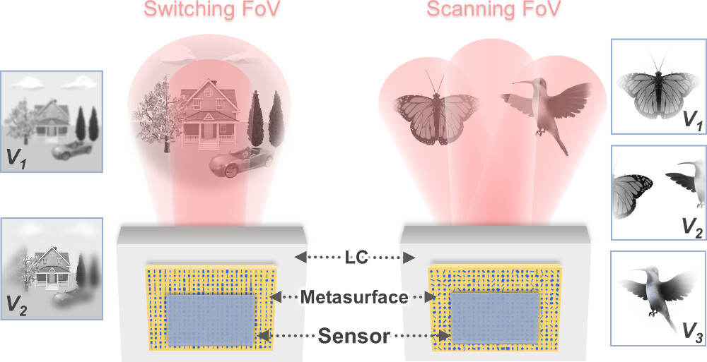 Actively Tunable Metalens with Varying Field-of-Views